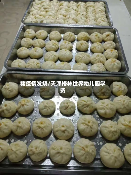 猪疫情发烧/天津格林世界幼儿园学费-第3张图片