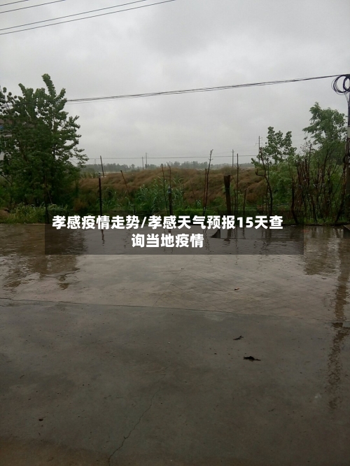 孝感疫情走势/孝感天气预报15天查询当地疫情