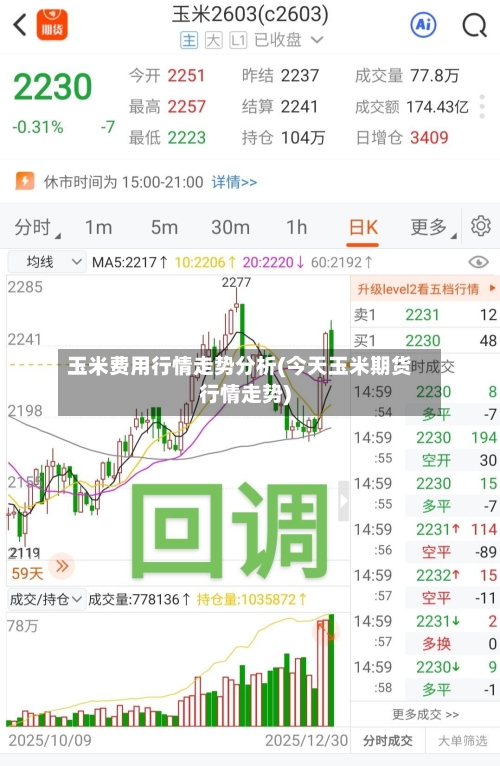 玉米费用行情走势分析(今天玉米期货行情走势)