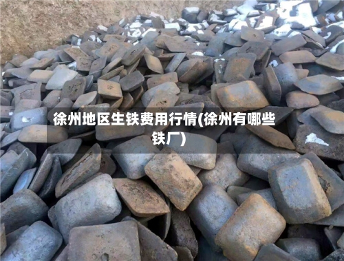 徐州地区生铁费用行情(徐州有哪些铁厂)