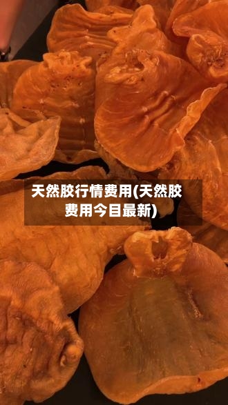 天然胶行情费用(天然胶费用今目最新)