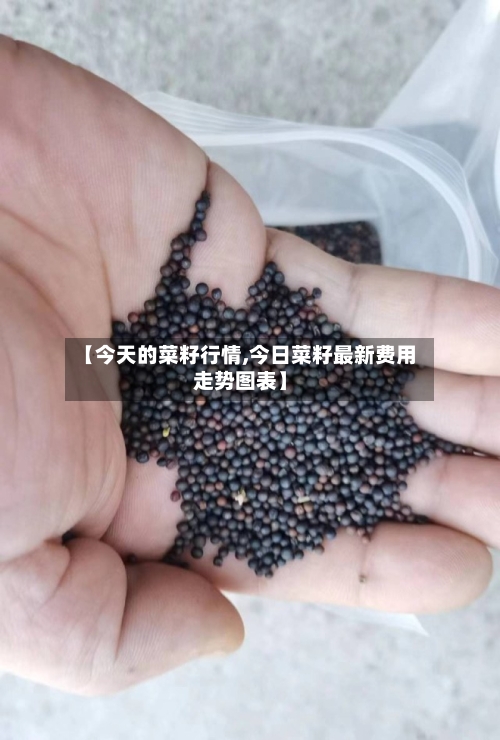 【今天的菜籽行情,今日菜籽最新费用走势图表】