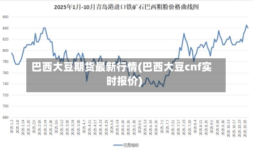 巴西大豆期货最新行情(巴西大豆cnf实时报价)-第3张图片