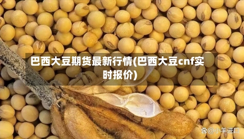巴西大豆期货最新行情(巴西大豆cnf实时报价)-第2张图片