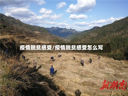 疫情脱贫感受/疫情脱贫感受怎么写-第2张图片