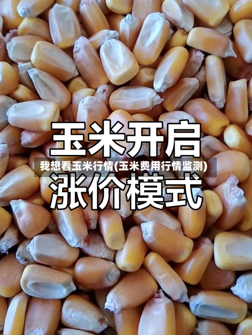 我想看玉米行情(玉米费用行情监测)-第3张图片