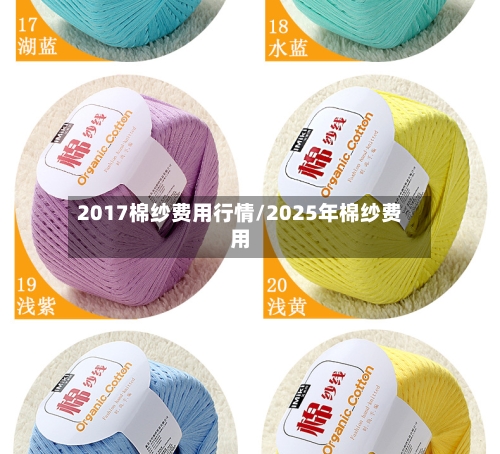 2017棉纱费用行情/2025年棉纱费用