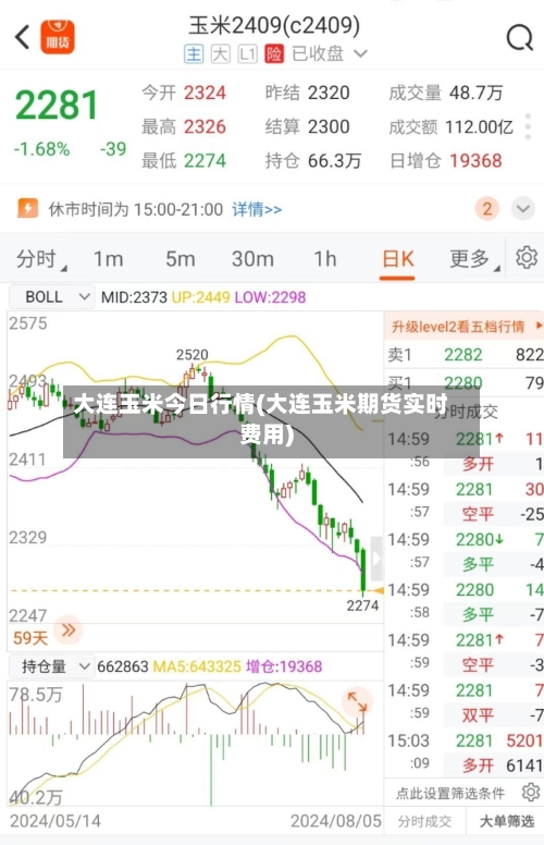 大连玉米今日行情(大连玉米期货实时费用)