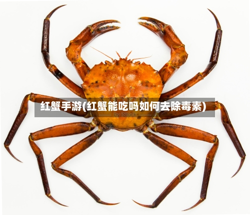 红蟹手游(红蟹能吃吗如何去除毒素)