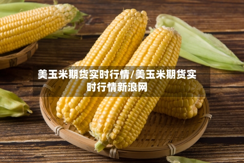 美玉米期货实时行情/美玉米期货实时行情新浪网