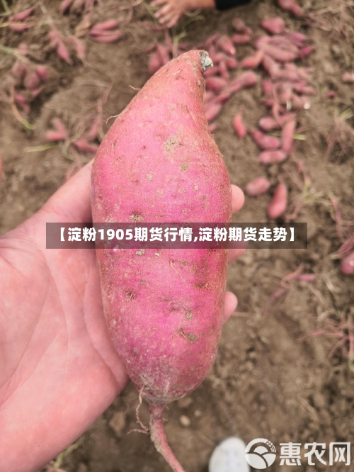 【淀粉1905期货行情,淀粉期货走势】-第3张图片