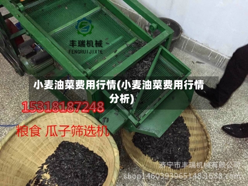 小麦油菜费用行情(小麦油菜费用行情分析)-第2张图片