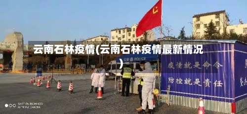 云南石林疫情(云南石林疫情最新情况)-第2张图片