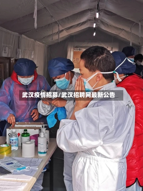 武汉疫情招募/武汉招聘网最新公告