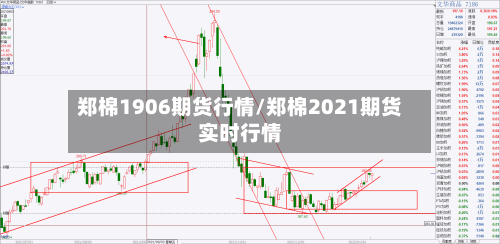 郑棉1906期货行情/郑棉2021期货实时行情-第3张图片