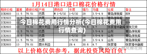 今日棉花费用行情分析(今日棉花费用行情查询)