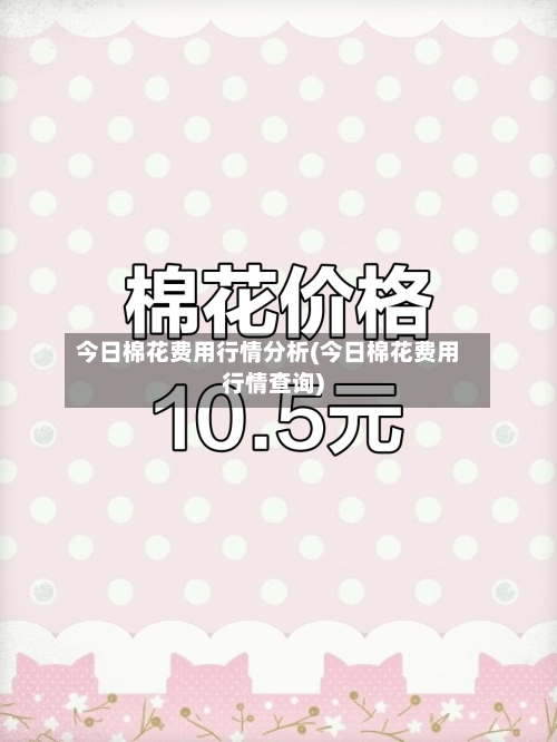 今日棉花费用行情分析(今日棉花费用行情查询)-第3张图片