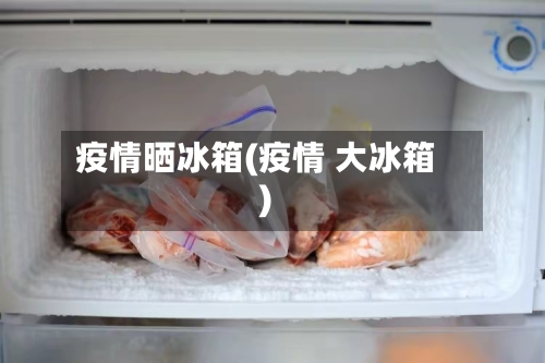 疫情晒冰箱(疫情 大冰箱)-第2张图片