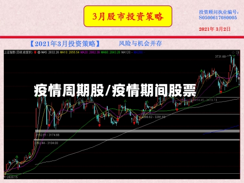 疫情周期股/疫情期间股票