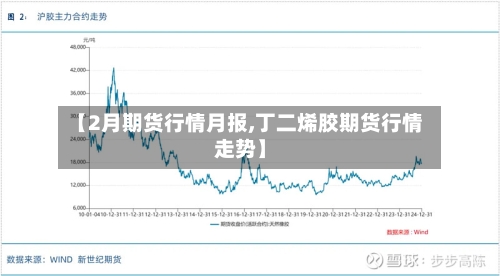 【2月期货行情月报,丁二烯胶期货行情走势】-第2张图片
