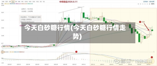今天白砂糖行情(今天白砂糖行情走势)-第2张图片