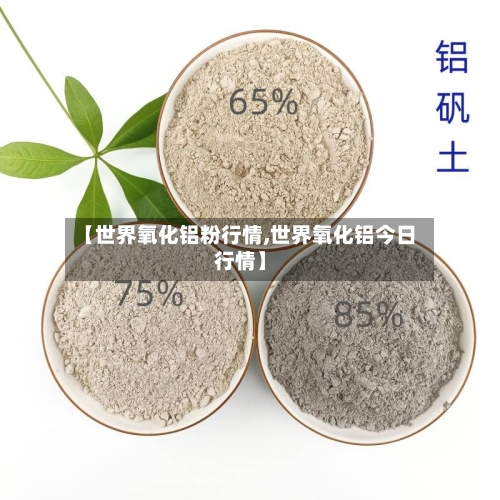 【世界氧化铝粉行情,世界氧化铝今日行情】-第3张图片