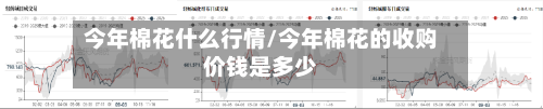 今年棉花什么行情/今年棉花的收购价钱是多少