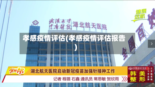 孝感疫情评估(孝感疫情评估报告)-第2张图片