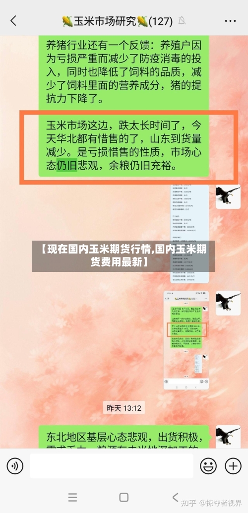 【现在国内玉米期货行情,国内玉米期货费用最新】-第2张图片