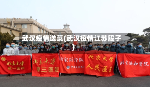 武汉疫情送菜(武汉疫情江苏段子)