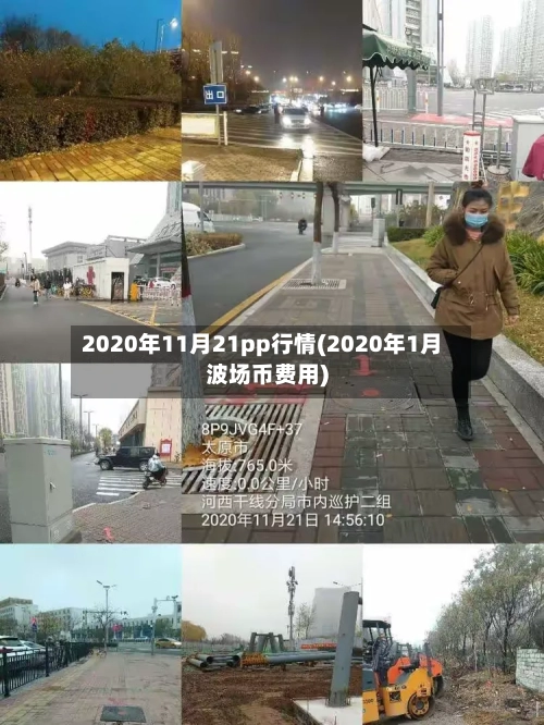 2020年11月21pp行情(2020年1月波场币费用)-第1张图片