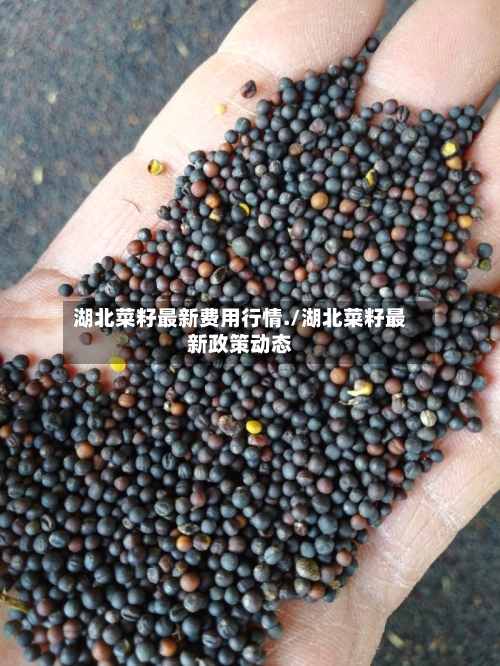 湖北菜籽最新费用行情./湖北菜籽最新政策动态