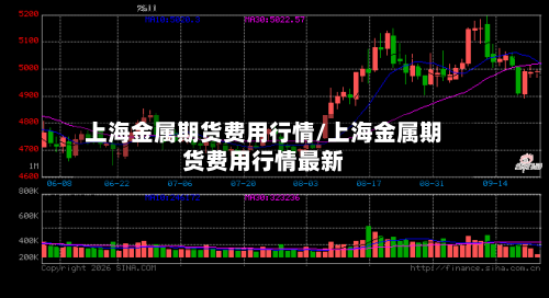 上海金属期货费用行情/上海金属期货费用行情最新-第3张图片