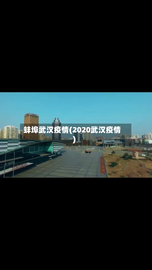 蚌埠武汉疫情(2020武汉疫情)