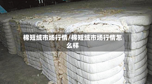 棉短绒市场行情/棉短绒市场行情怎么样-第2张图片