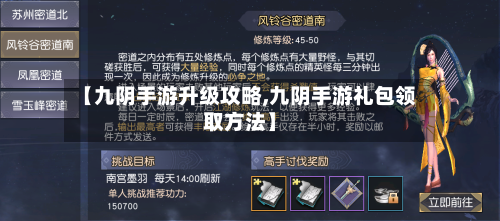 【九阴手游升级攻略,九阴手游礼包领取方法】-第2张图片