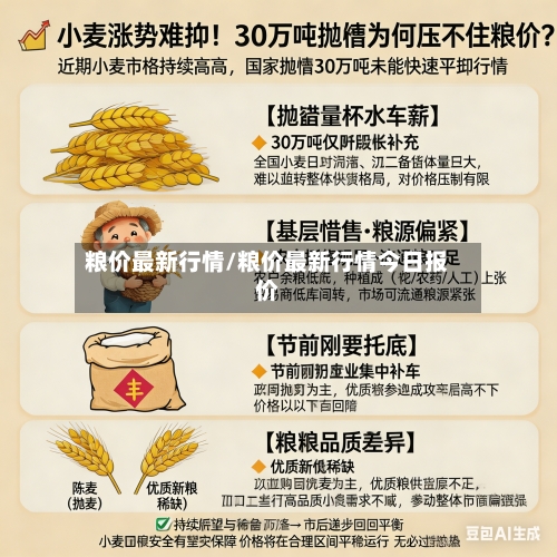 粮价最新行情/粮价最新行情今日报价