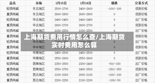 上海期货费用行情怎么查/上海期货实时费用怎么算