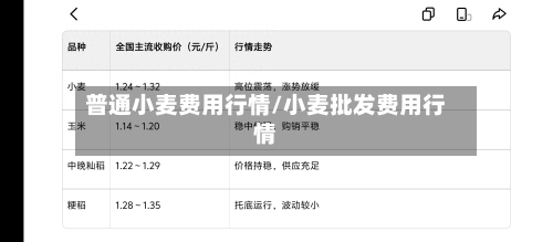 普通小麦费用行情/小麦批发费用行情-第3张图片