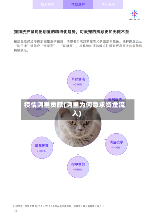 疫情阿里贡献(阿里为何急求资金流入)