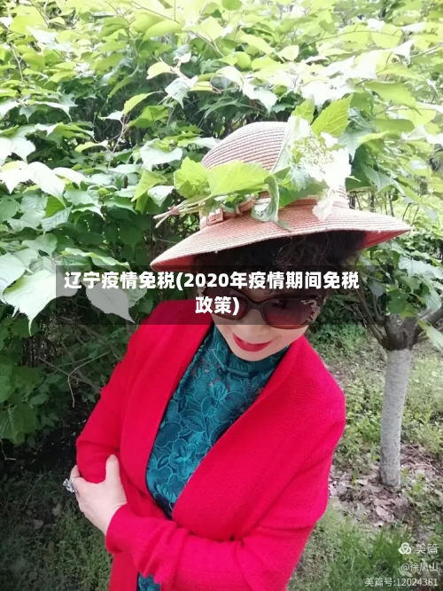 辽宁疫情免税(2020年疫情期间免税政策)