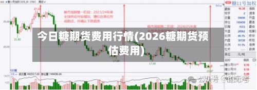 今日糖期货费用行情(2026糖期货预估费用)