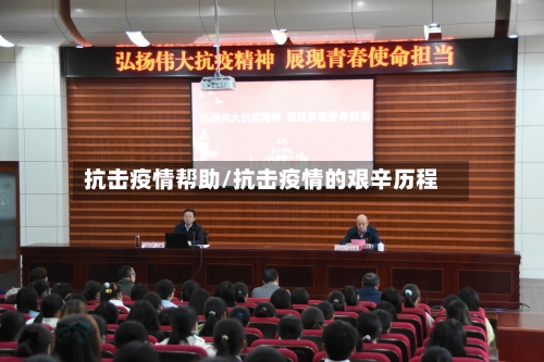 抗击疫情帮助/抗击疫情的艰辛历程