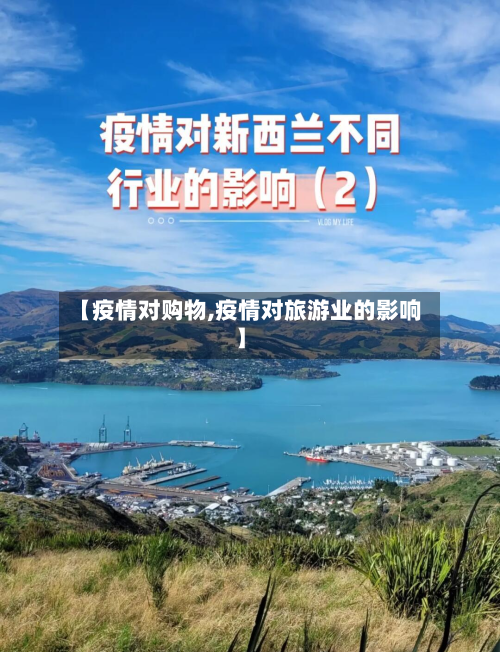 【疫情对购物,疫情对旅游业的影响】