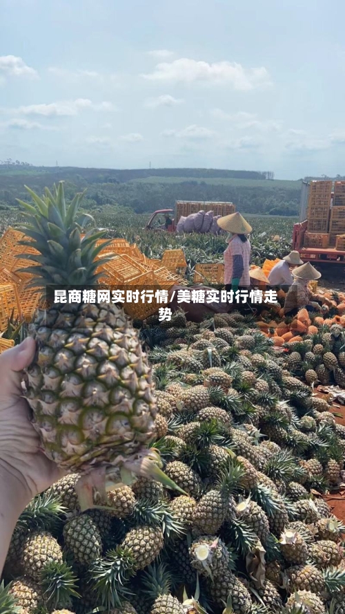 昆商糖网实时行情/美糖实时行情走势-第3张图片