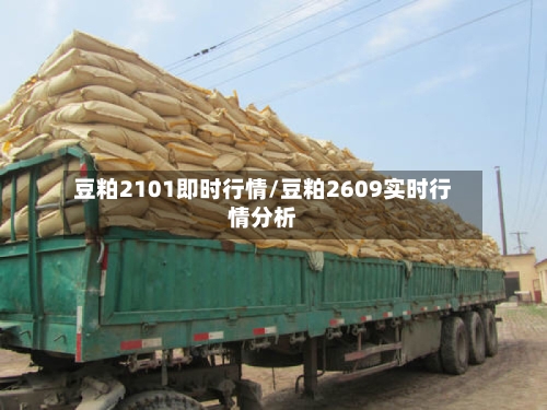 豆粕2101即时行情/豆粕2609实时行情分析-第2张图片
