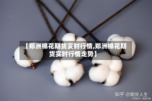 【郑洲棉花期货实时行情,郑洲棉花期货实时行情走势】-第2张图片