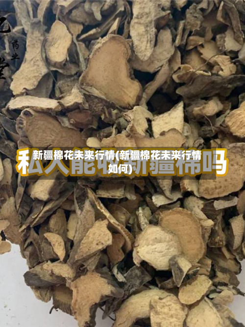 新疆棉花未来行情(新疆棉花未来行情如何)-第2张图片