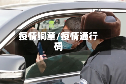 疫情铜章/疫情通行码-第2张图片