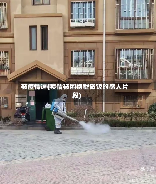 被疫情逼(疫情被困别墅做饭的感人片段)